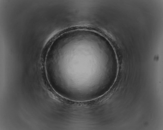 X0000091181400200708231518