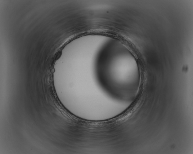 X0000091181401200708231518