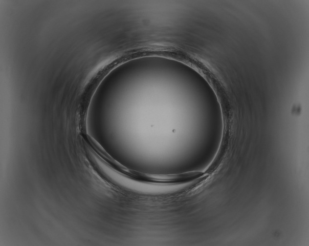 X0000091181402200708231518