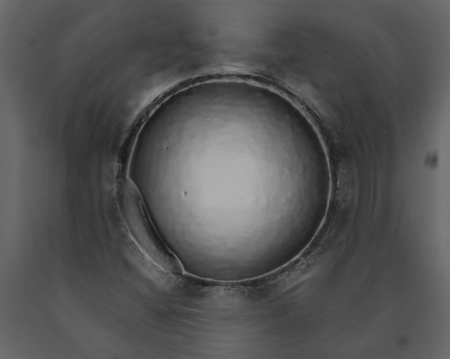 X0000091181404200708231518
