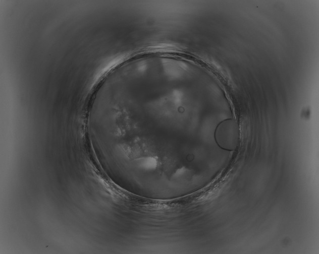 X0000091181405200708231518