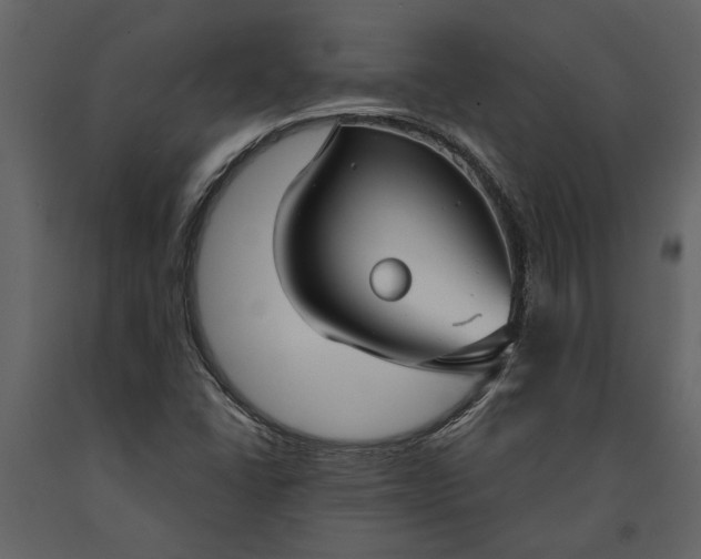 X0000091181406200708231518