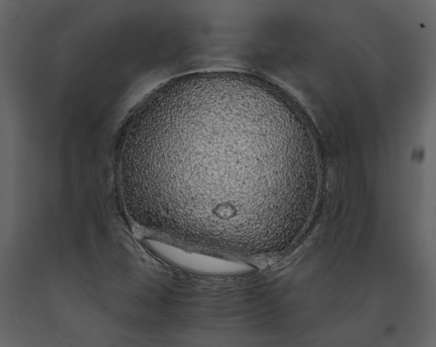 X0000091181407200708231518