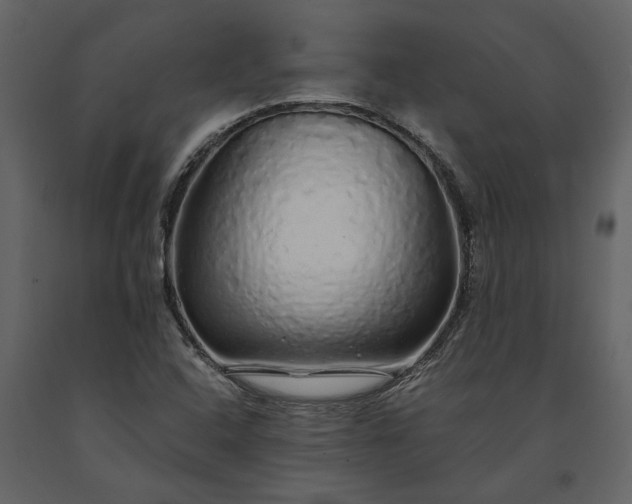 X0000091181408200708231518