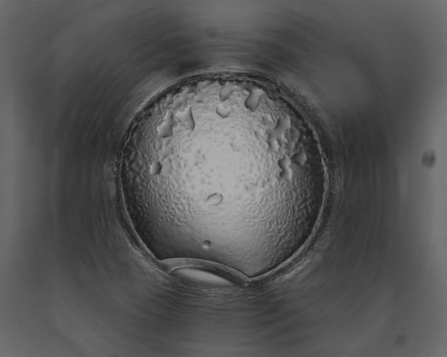 X0000091181409200708231518
