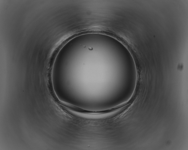 X0000091181410200708231518