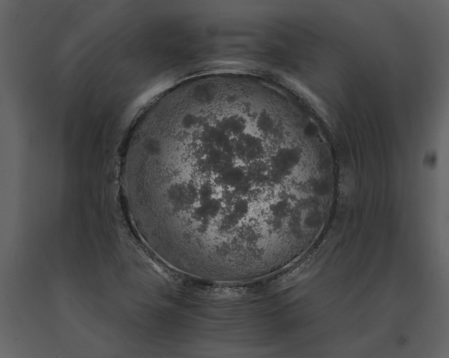 X0000091181411200708231518