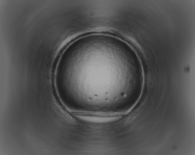 X0000091181412200708231518