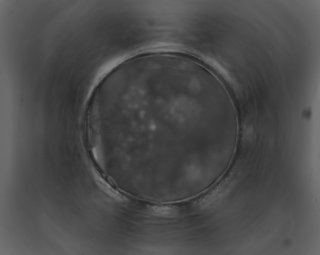 X0000091181413200708231518