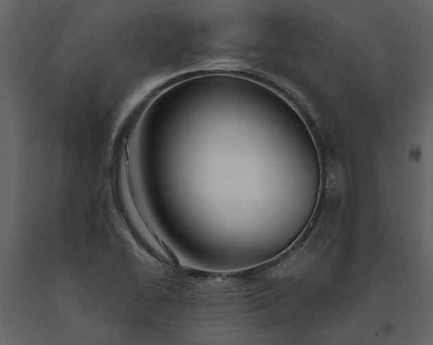 X0000091181414200708231518