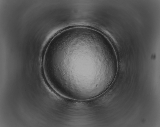 X0000091181416200708231518