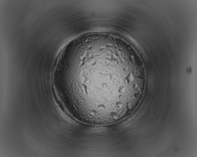 X0000091181417200708231518