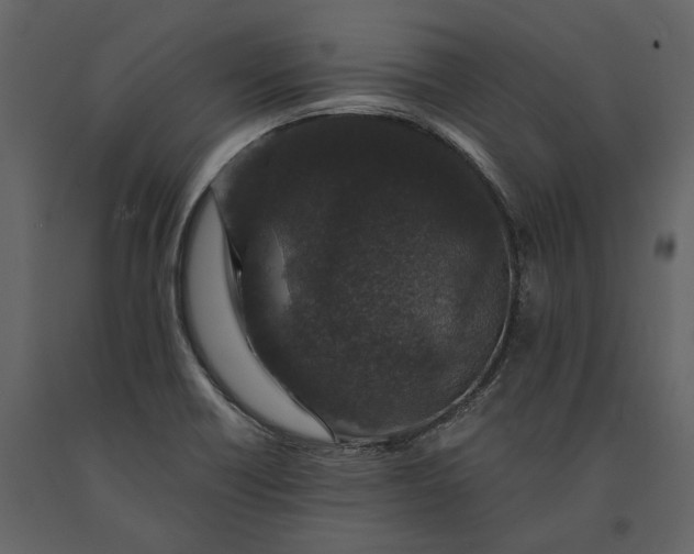 X0000091181418200708231518