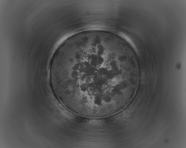 X0000091181419200708231518