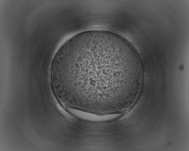 X0000091181421200708231518