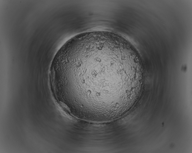 X0000091181423200708231518