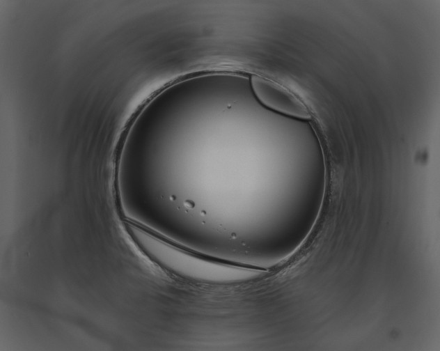 X0000091181424200708231518