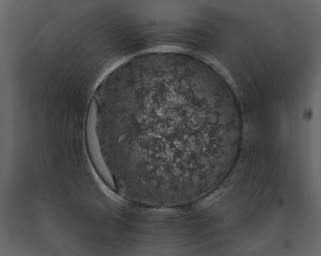 X0000091181425200708231518