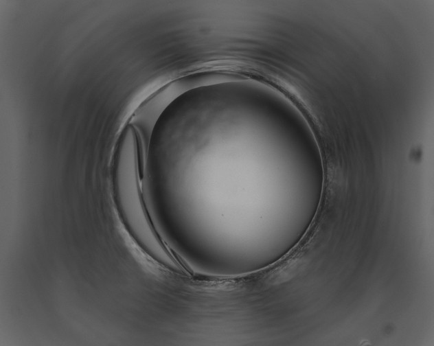 X0000091181426200708231518