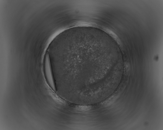 X0000091181427200708231518