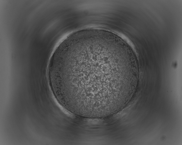 X0000091181429200708231518