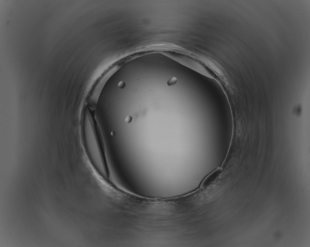 X0000091181430200708231518