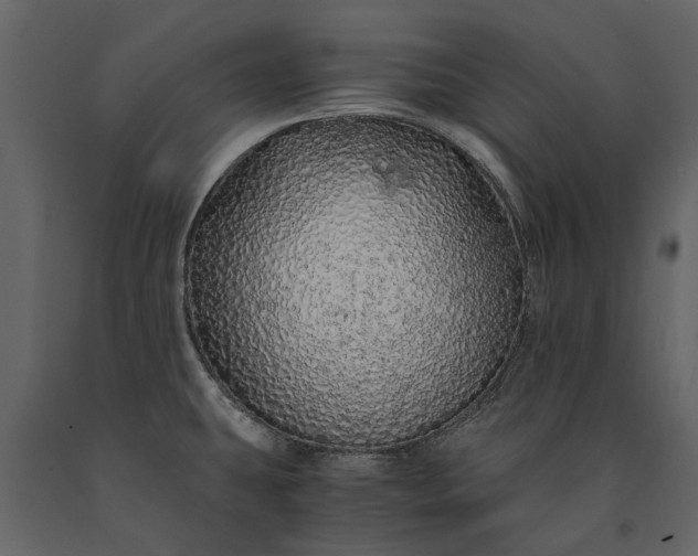 X0000091181431200708231518