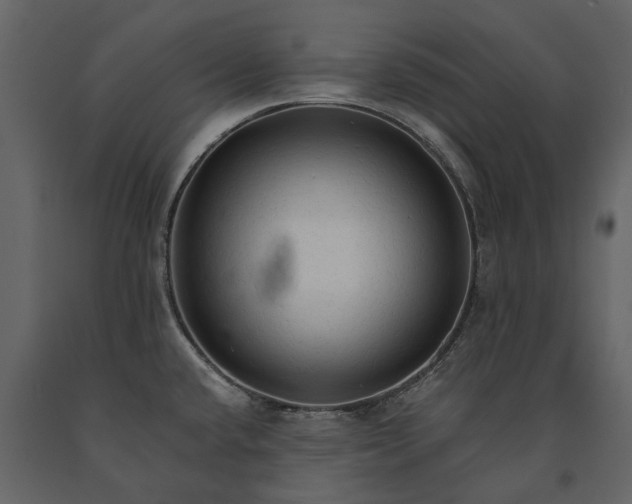 X0000091181432200708231518
