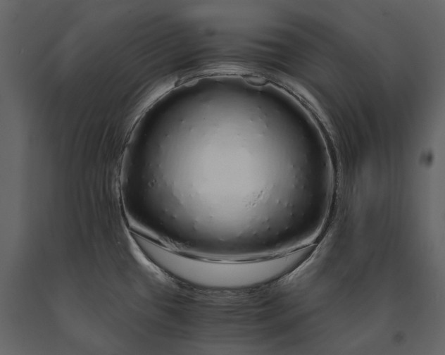 X0000091181433200708231518
