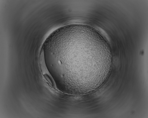X0000091181435200708231518