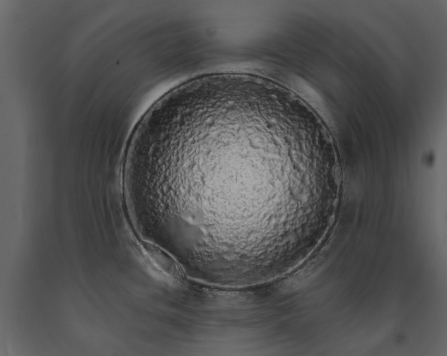 X0000091181436200708231518