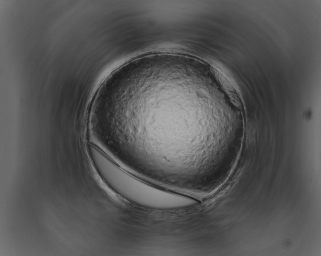 X0000091181437200708231518