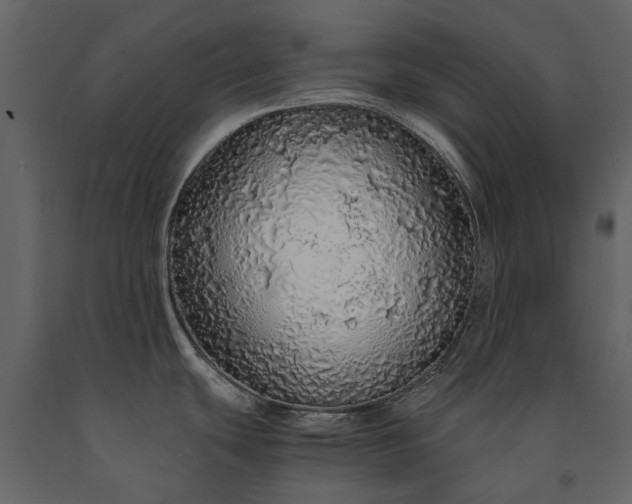 X0000091181439200708231518