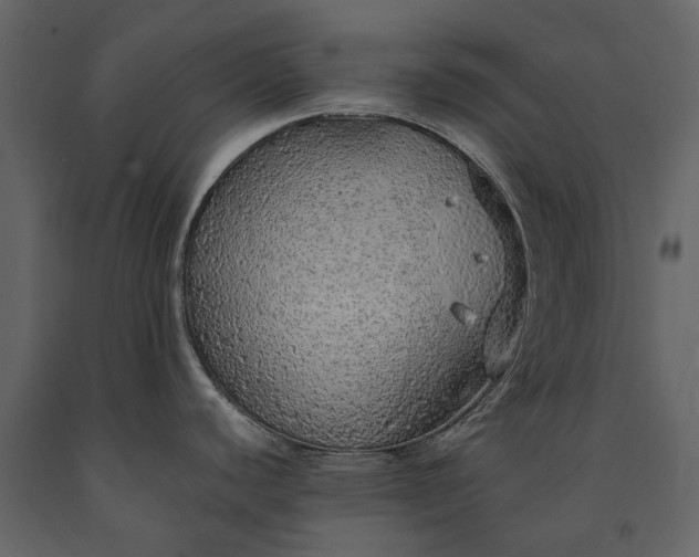X0000091181440200708231518