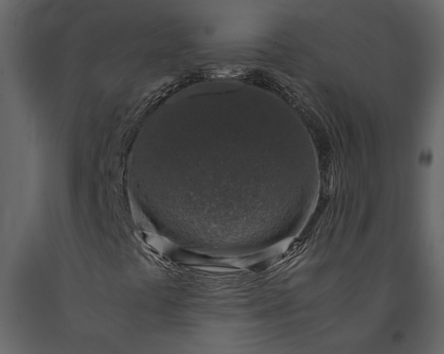 X0000091181441200708231517