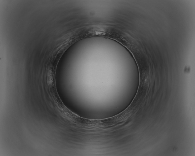 X0000091181442200708231517