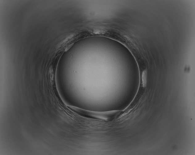 X0000091181443200708231517