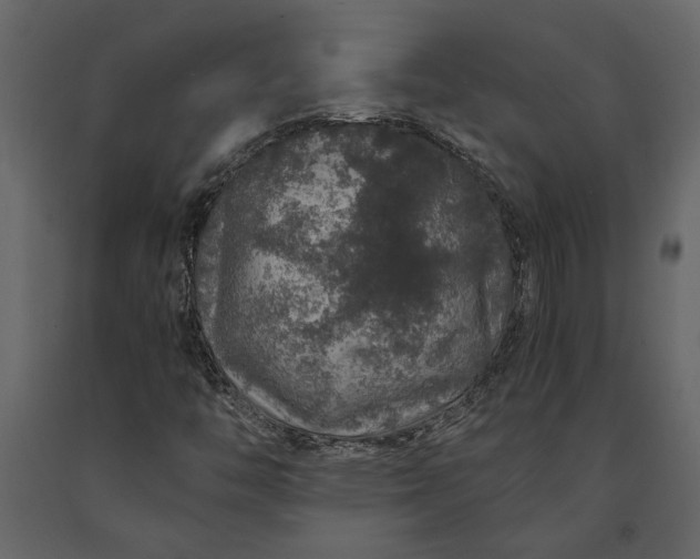 X0000091181446200708231517