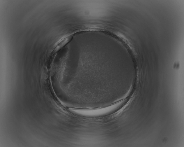X0000091181449200708231517