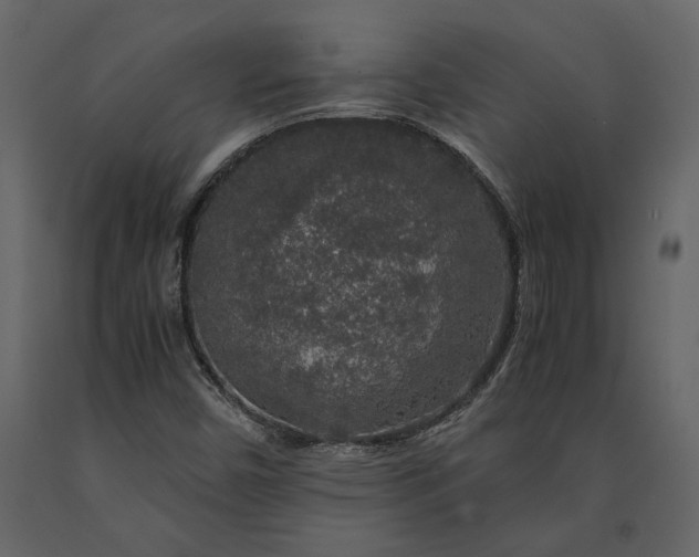 X0000091181450200708231517