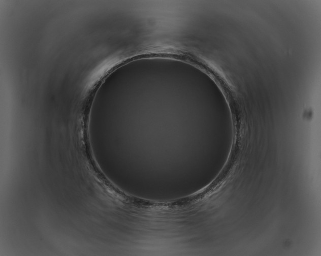 X0000091181455200708231517
