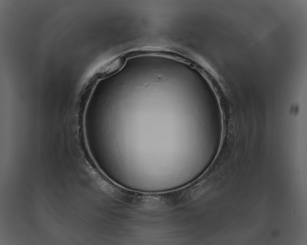X0000091181456200708231517