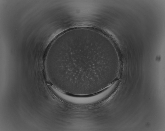 X0000091181457200708231517