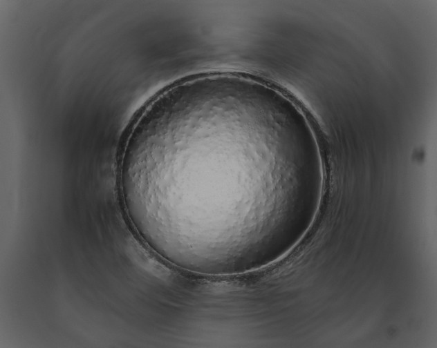 X0000091181460200708231517