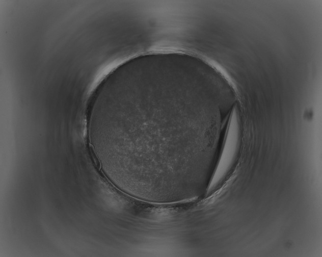X0000091181461200708231517