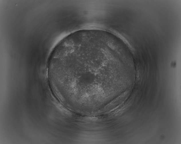 X0000091181462200708231517