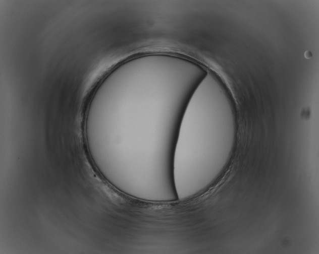 X0000091181464200708231517