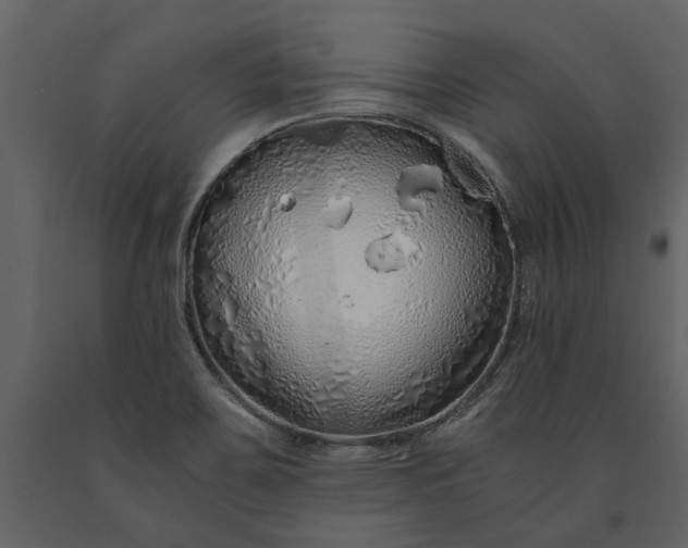 X0000091181467200708231517