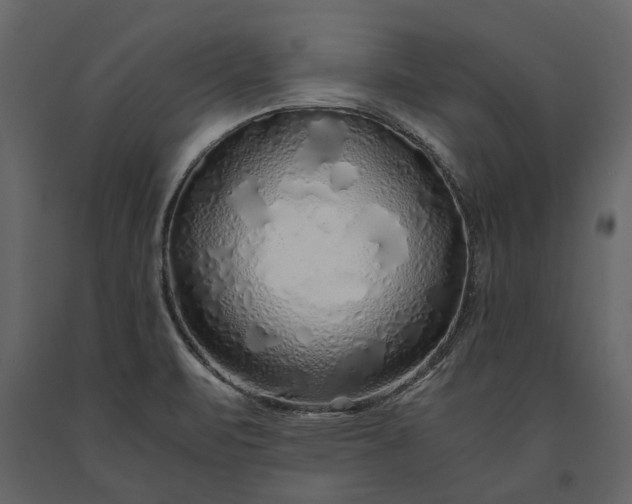 X0000091181471200708231517