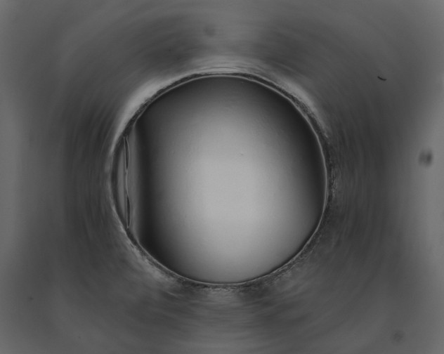 X0000091181472200708231517